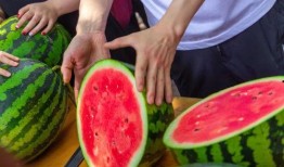 今日吃瓜事件,吃瓜群众围观娱乐圈最新瓜事