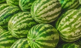 吃瓜网每日大赛 吃瓜网站,揭秘热门事件背后的真相与笑料